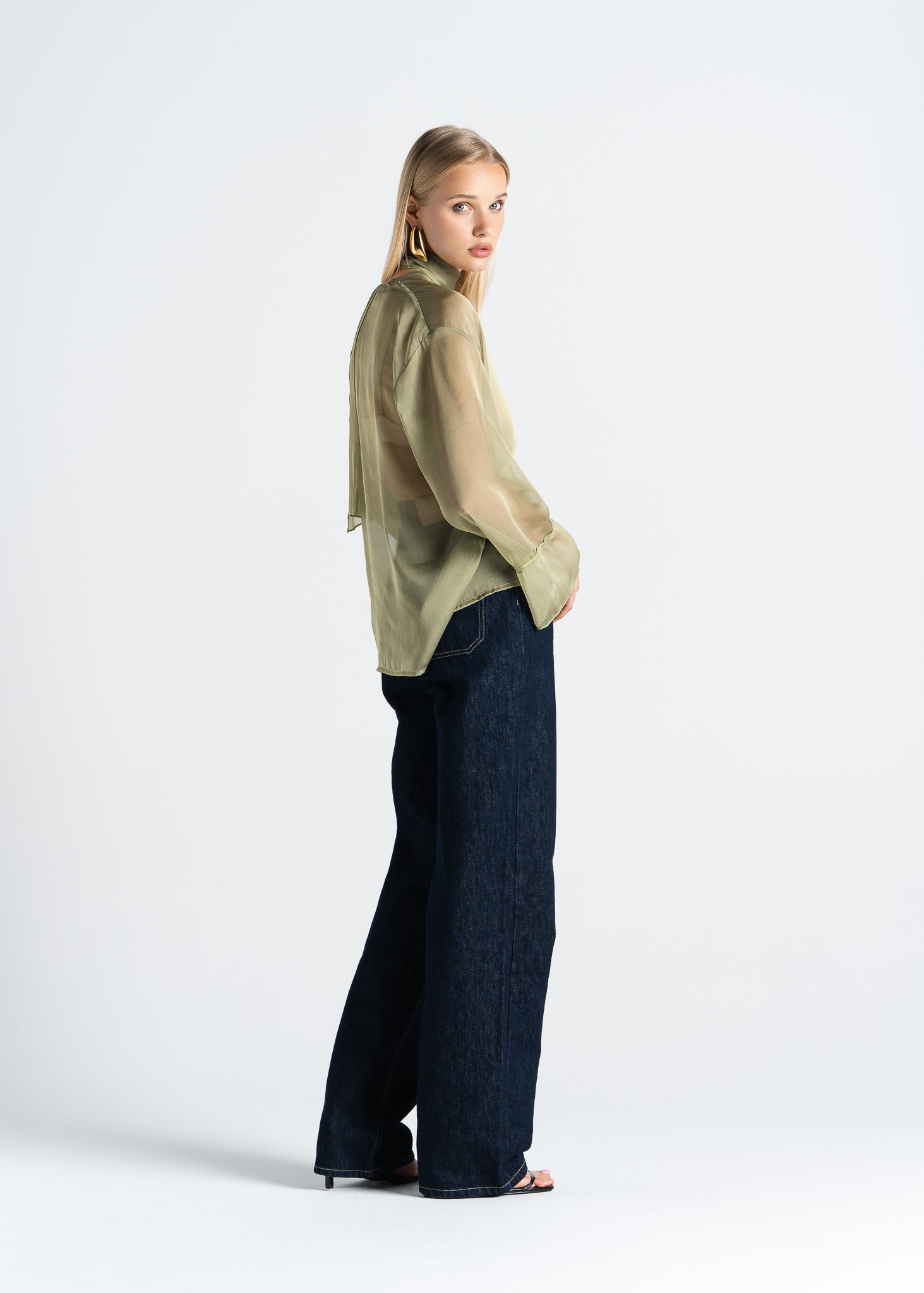 Haze Sheer Button-Up Blouse - Green