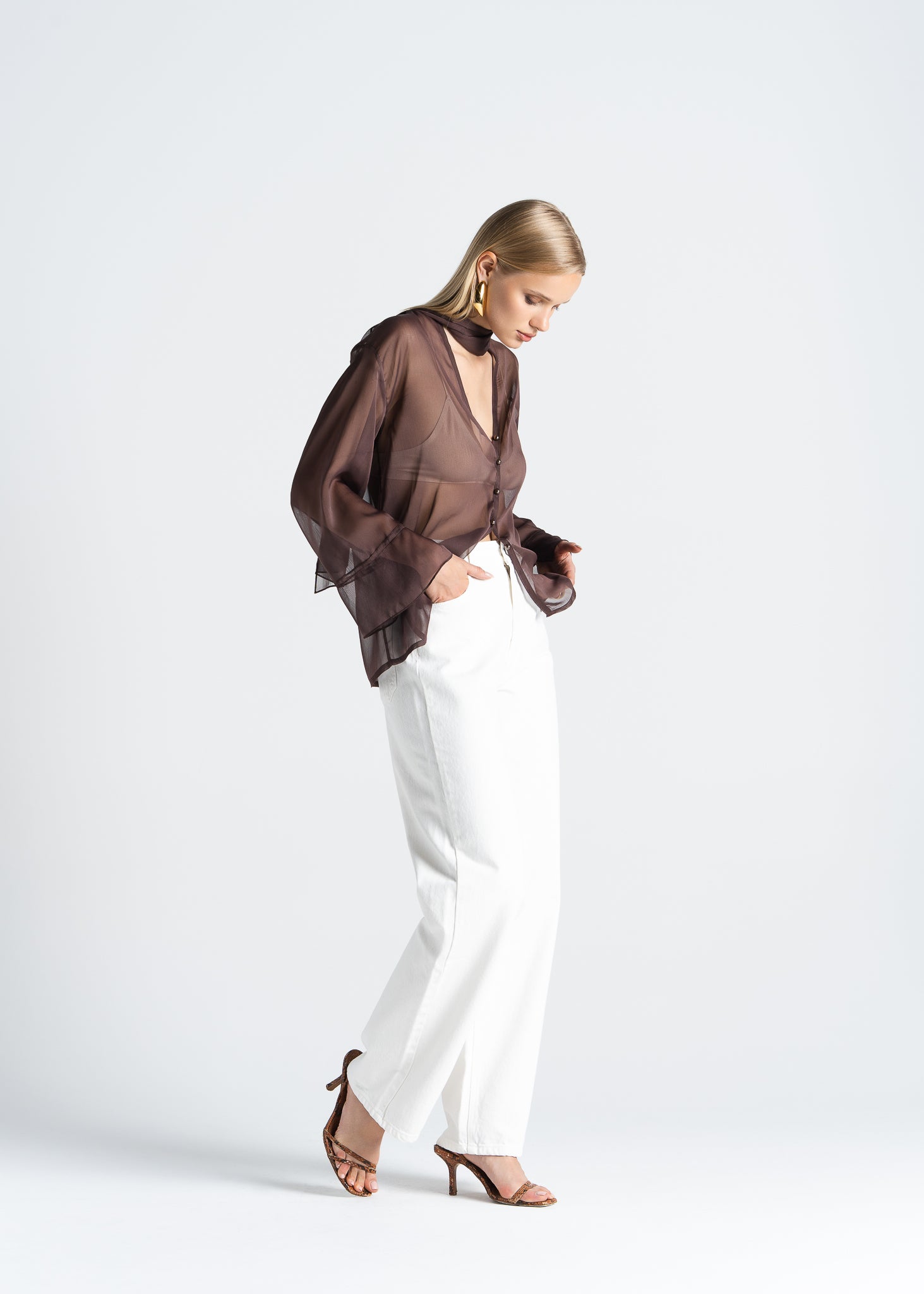 Haze Sheer Button-Up Blouse- Brown