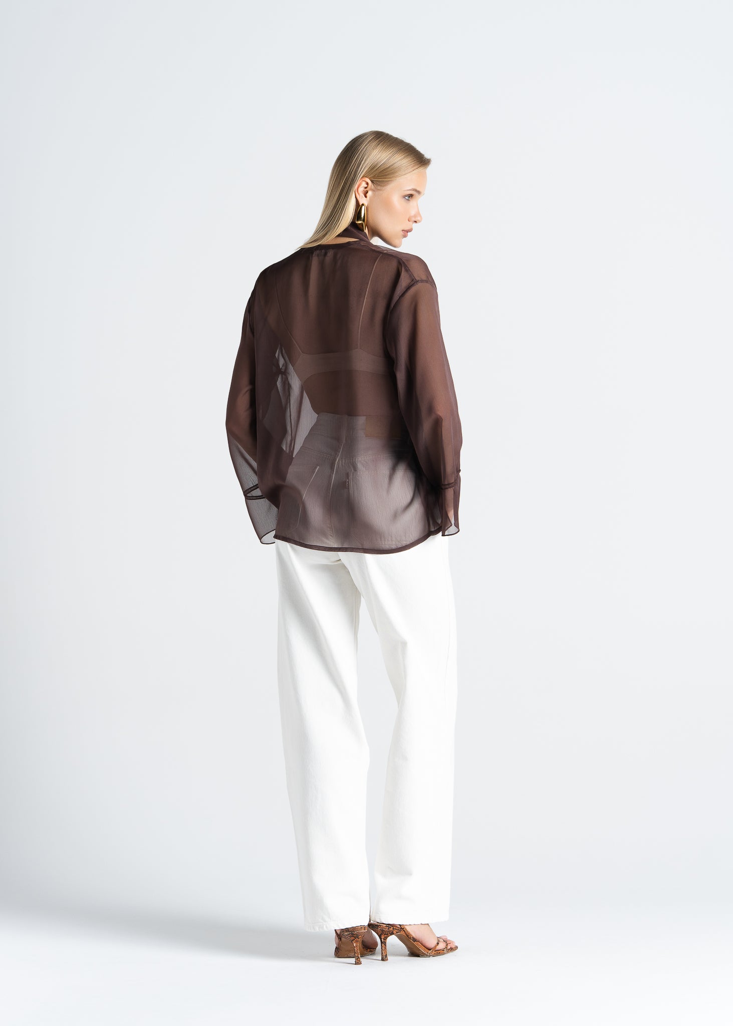 Haze Sheer Button-Up Blouse- Brown