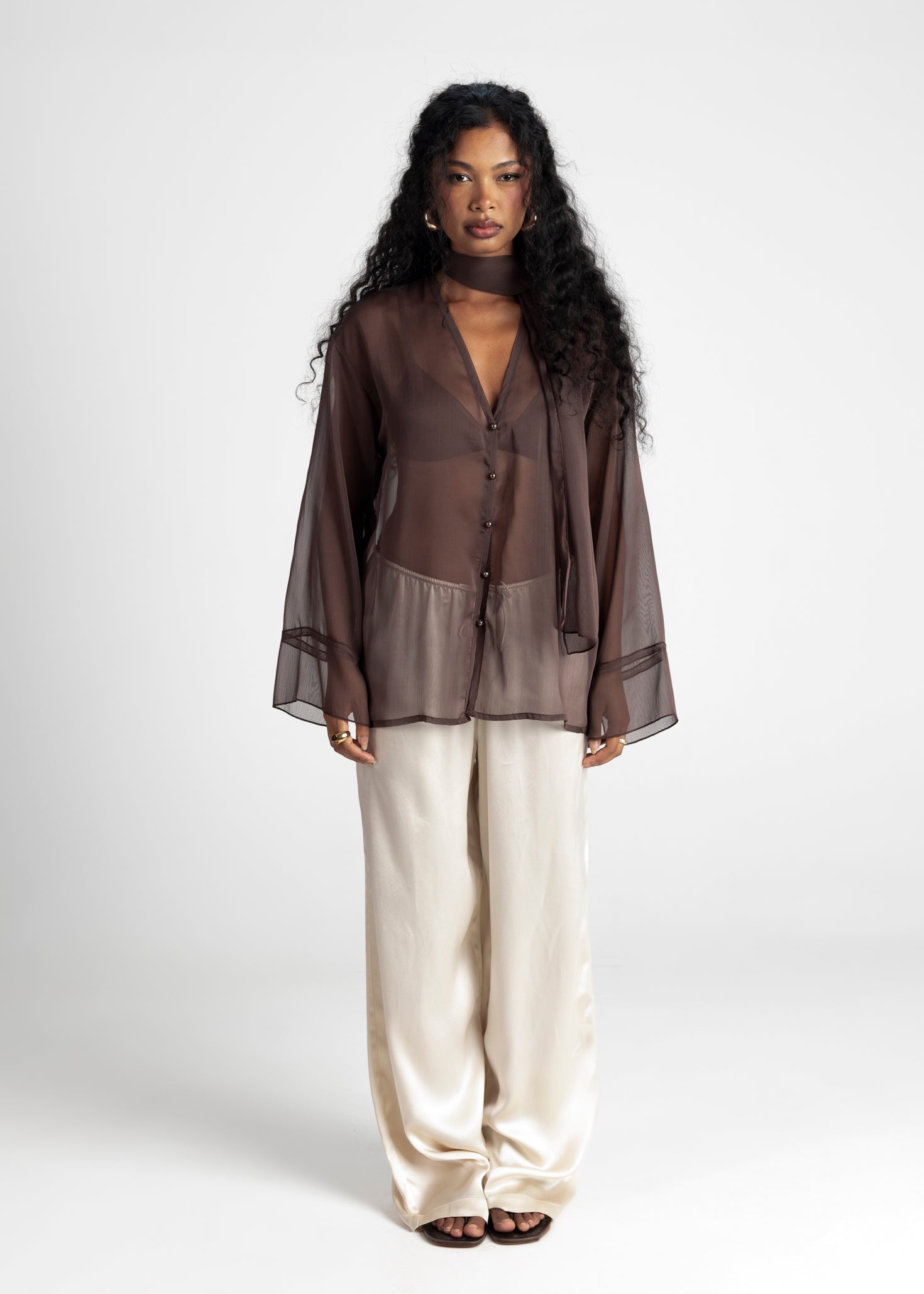 Haze Sheer Button-Up Blouse- Brown