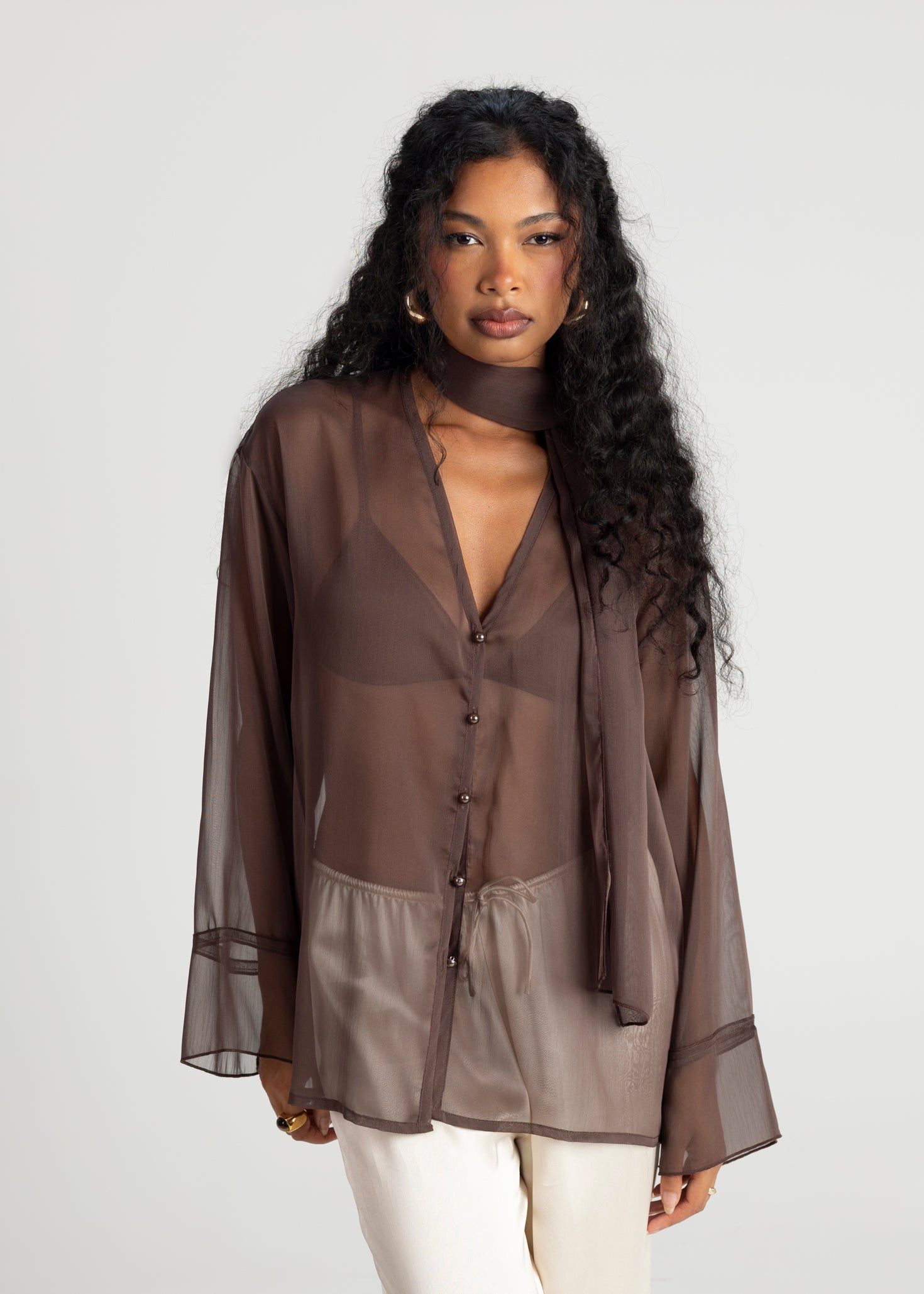 Haze Sheer Button-Up Blouse- Brown