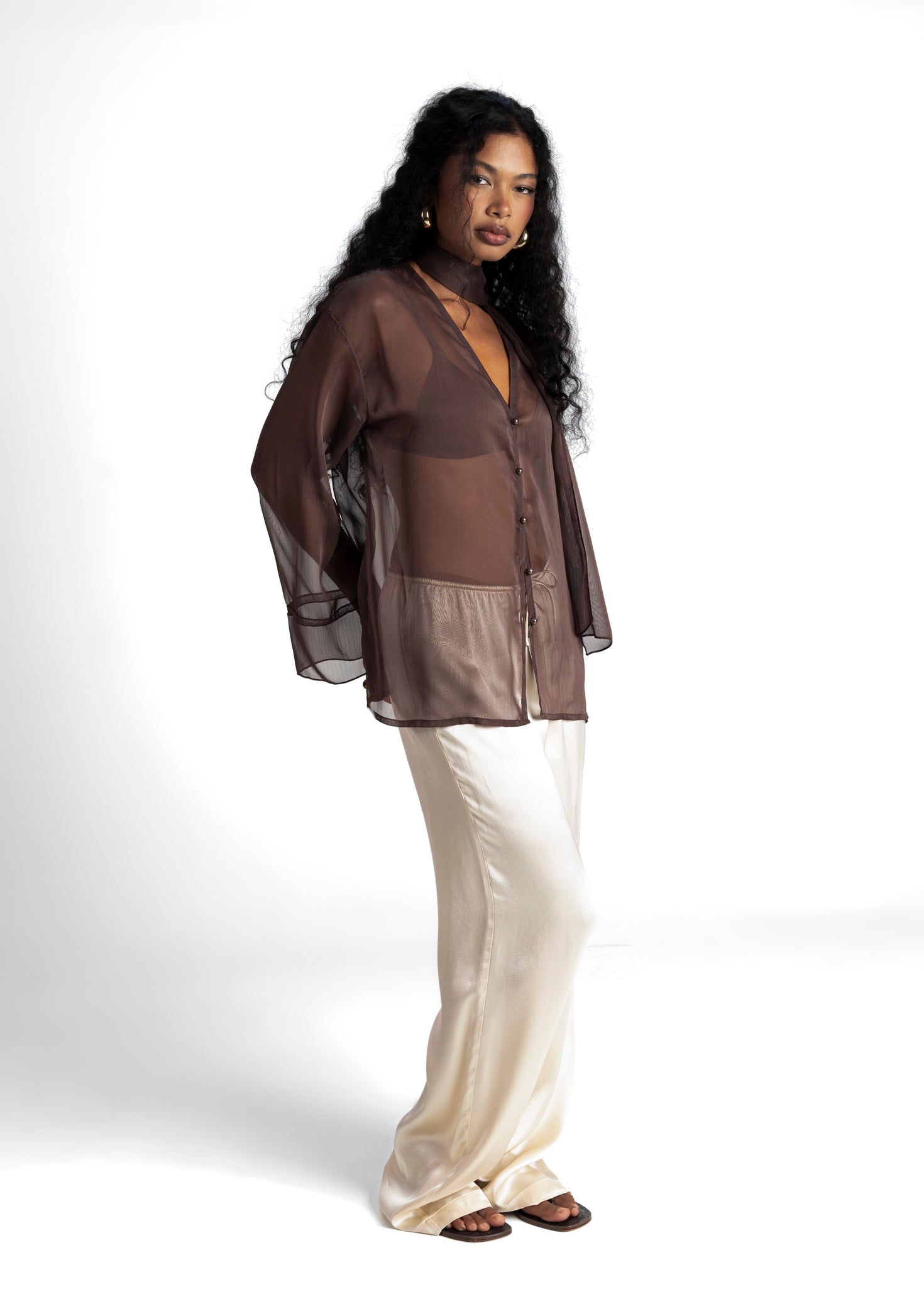 Haze Sheer Button-Up Blouse- Brown