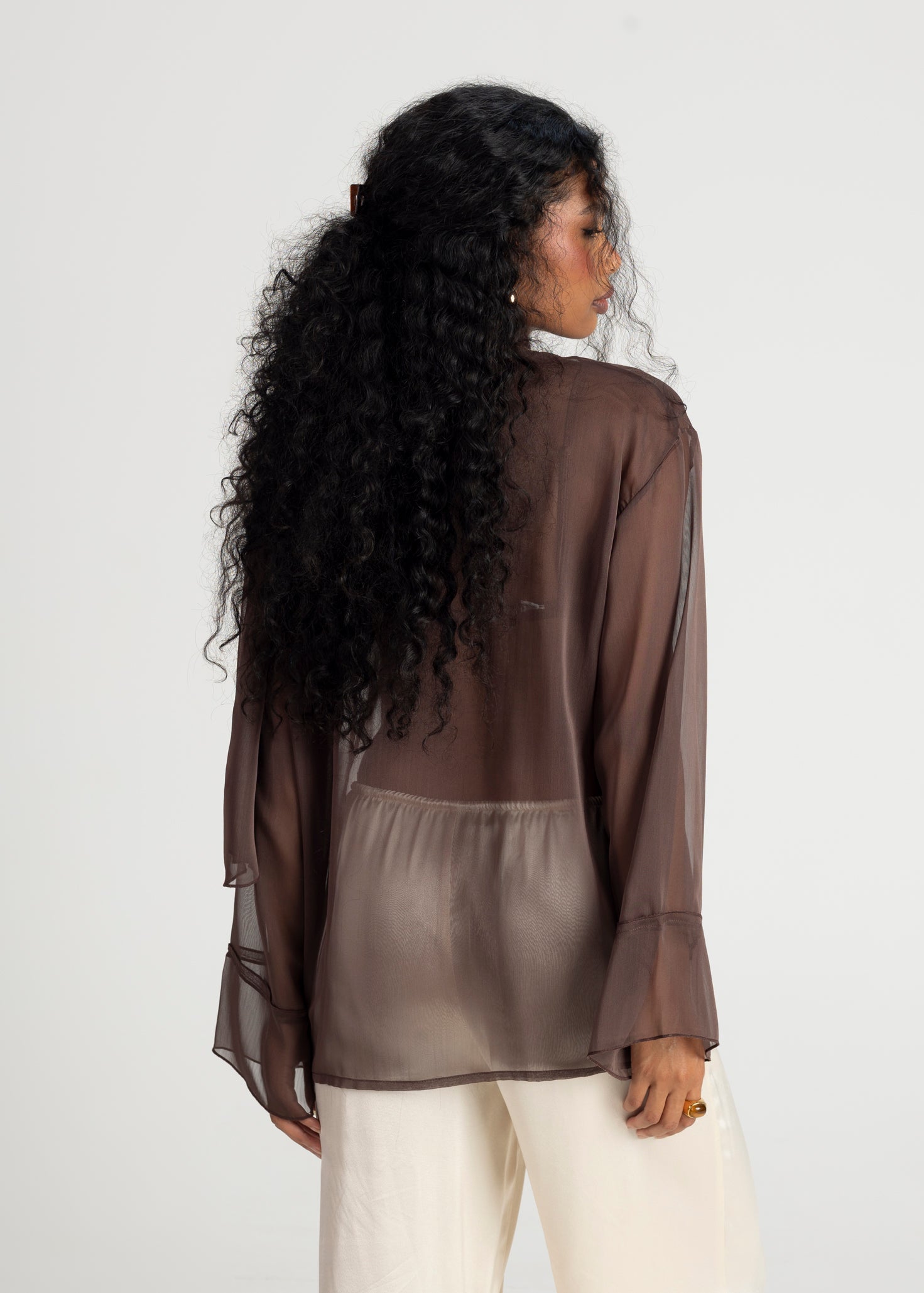 Haze Sheer Button-Up Blouse- Brown