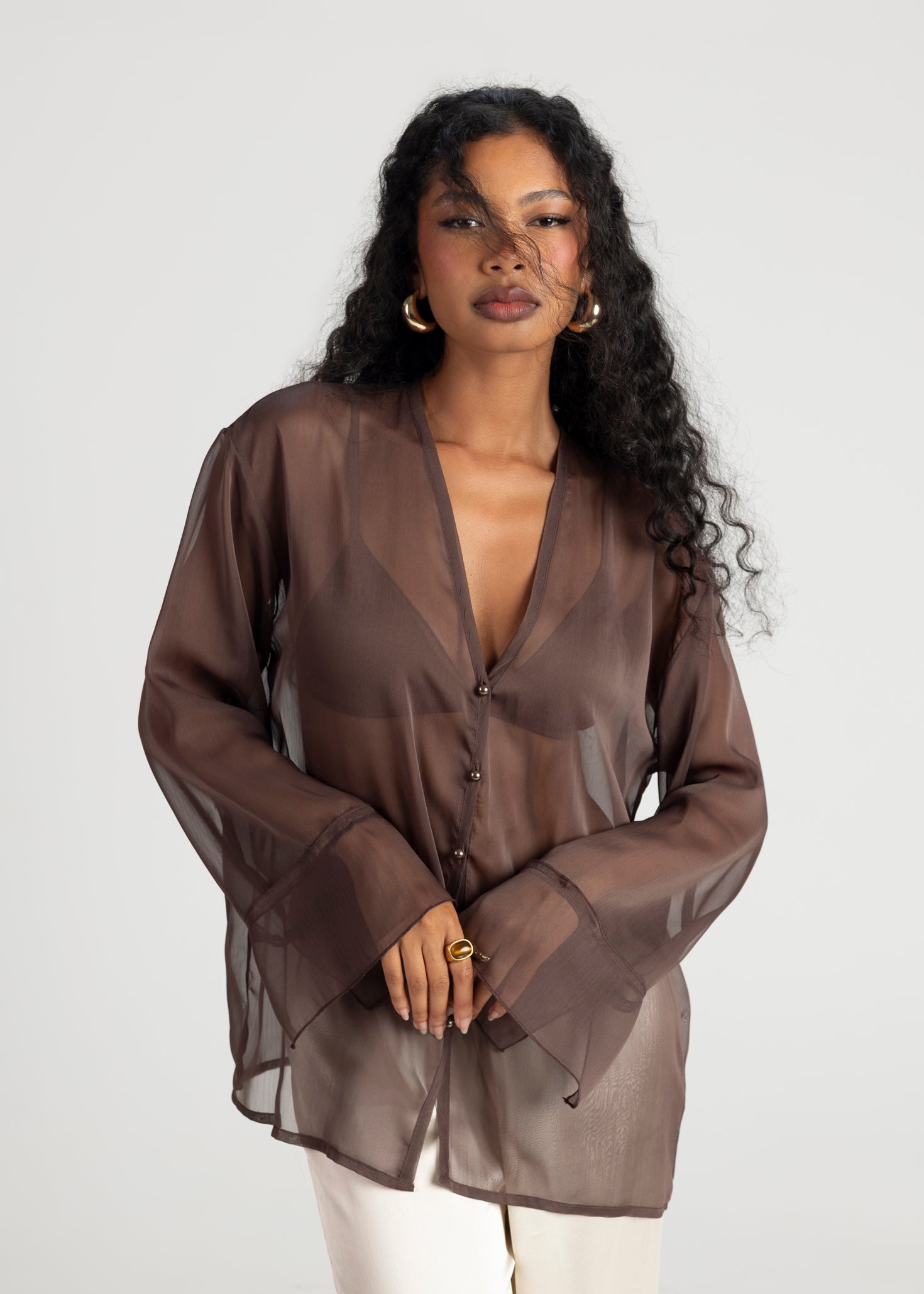 Haze Sheer Button-Up Blouse- Brown