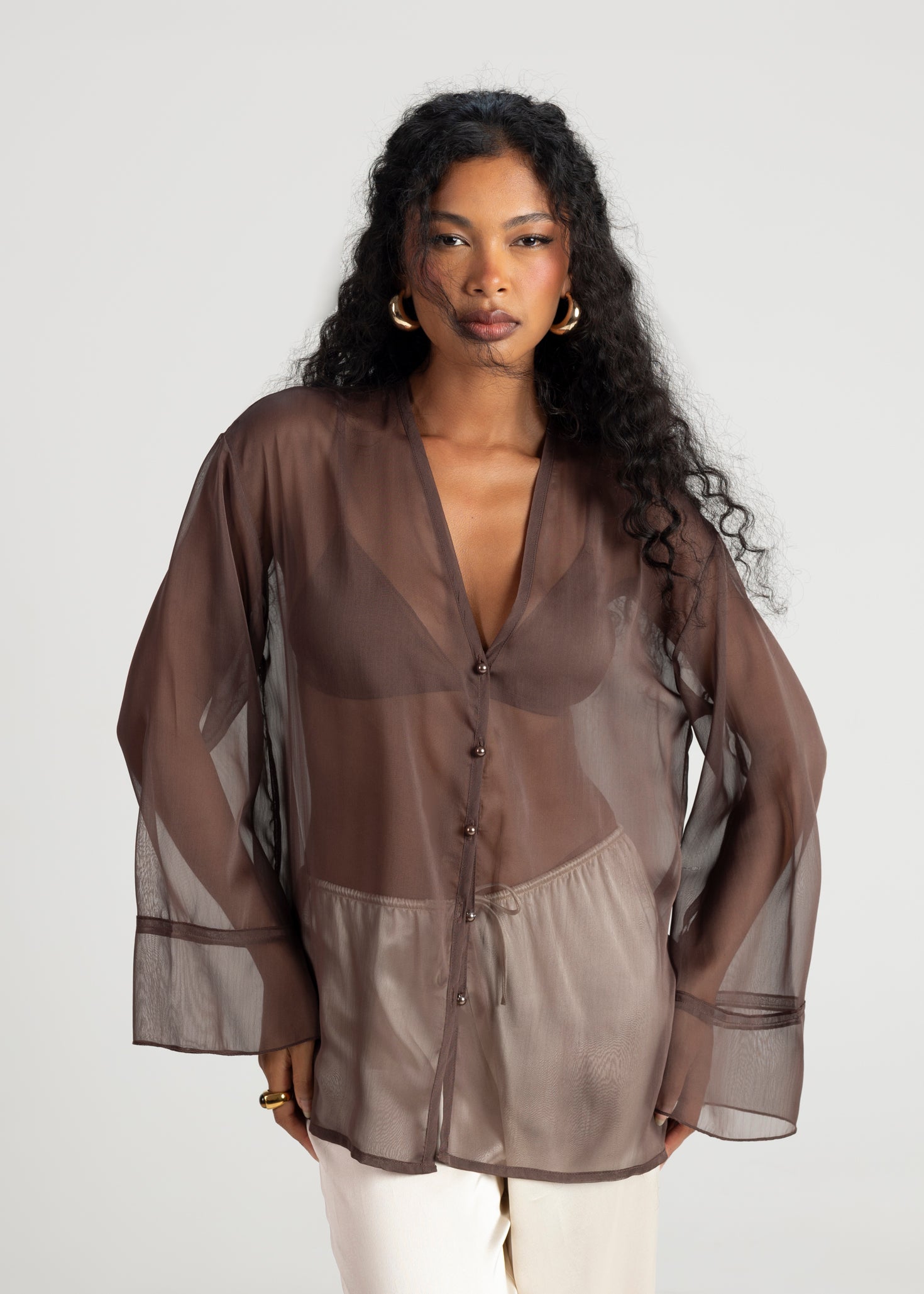 Haze Sheer Button-Up Blouse- Brown
