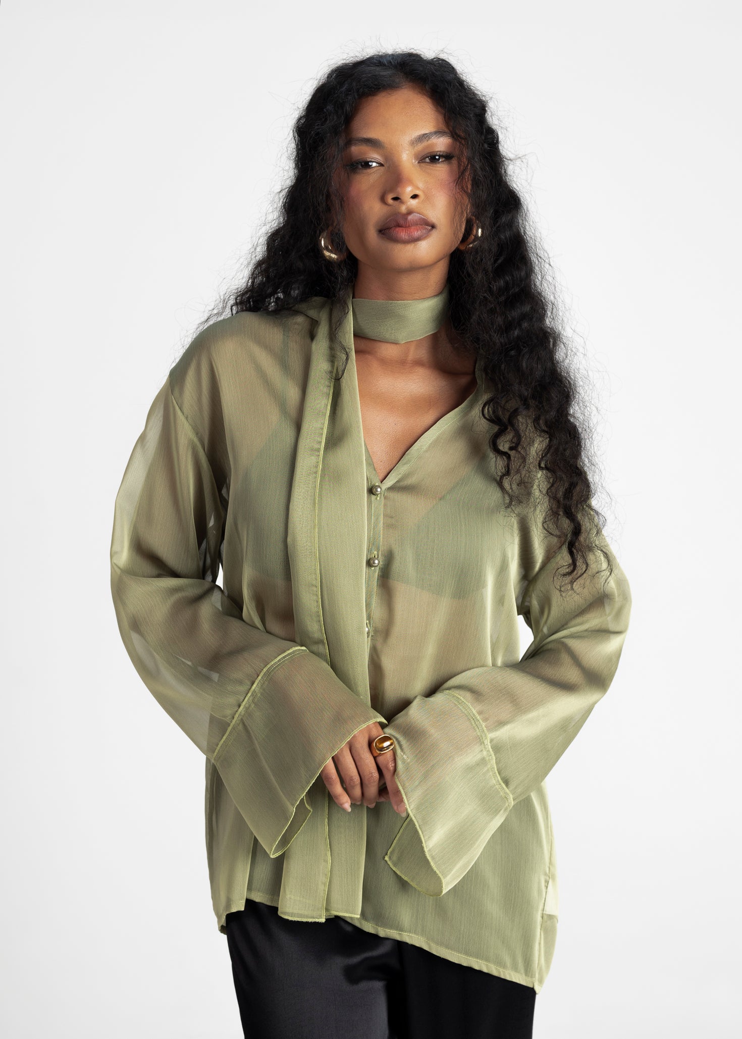 Haze Sheer Button-Up Blouse - Green